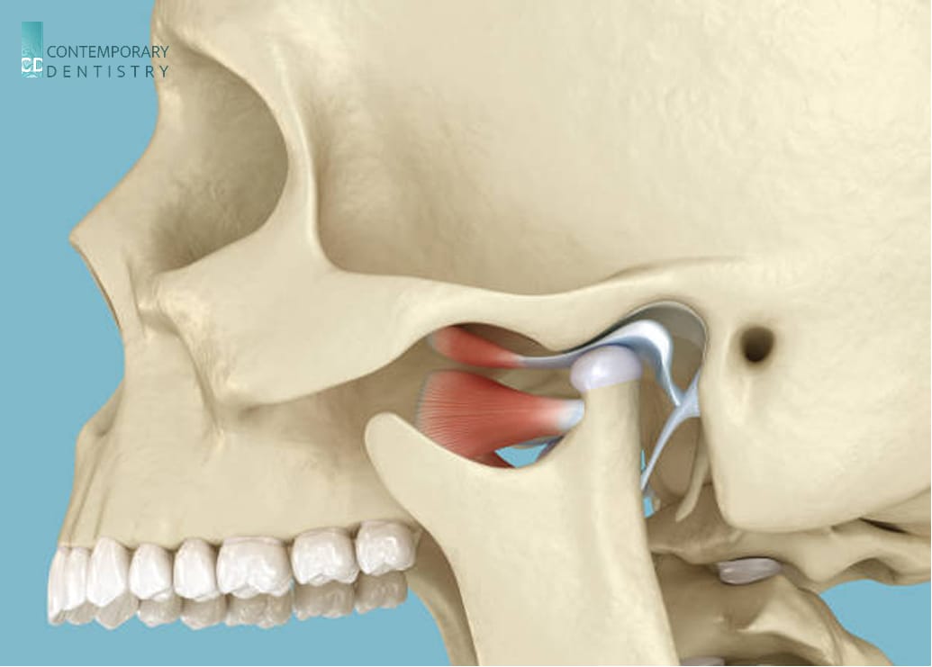 Jaw joint and temporomandibular joint (TMJ) anatomy illustration